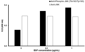 In-Cell ELISA - JNK (Thr183/Tyr185) In-Cell ELISA Kit (AB126424)