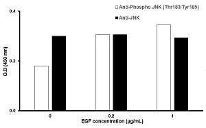 In-Cell ELISA - JNK (Thr183/Tyr185) In-Cell ELISA Kit (AB126424)