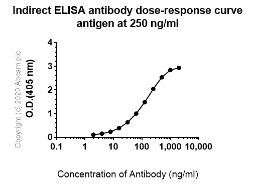 ELISA - Anti-JNK2 antibody [EP1595Y] (ab76125), expandable thumbnail