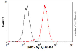 Flow Cytometry (Intracellular) - Anti-JNK2 antibody [EP1595Y] (ab76125), expandable thumbnail