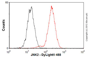 Flow Cytometry (Intracellular) - Anti-JNK2 antibody [EP1595Y] - BSA and Azide free (AB227986)
