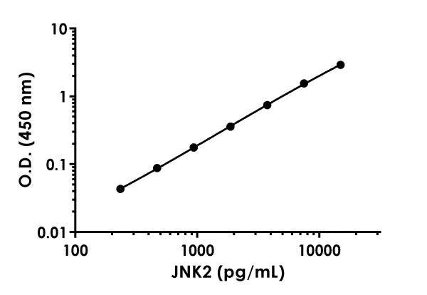 Sandwich ELISA - JNK2 ELISA Kit (AB218265)