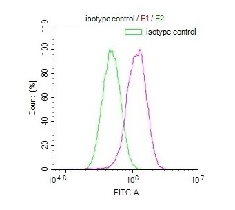 Flow Cytometry (Intracellular) - Anti-JNK3 antibody [29E10] (AB314190), expandable thumbnail