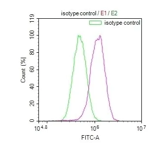 Flow Cytometry (Intracellular) - Anti-JNK3 antibody [29E10] (AB314190)