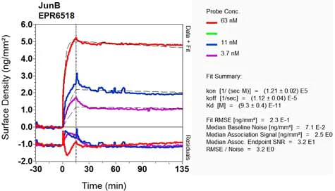 OI-RD Scanning - Anti-JunB antibody [EPR6518] (AB128878)
