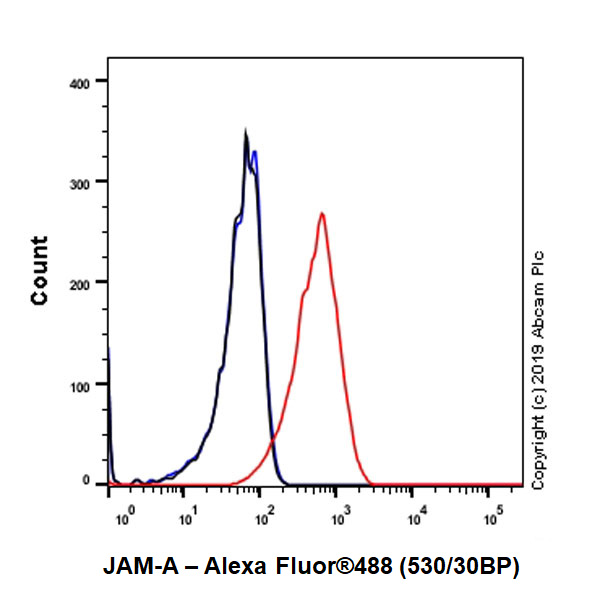 Flow Cytometry - Anti-Junctional Adhesion Molecule 1/JAM-A antibody [EPR23244-12] (AB269948)