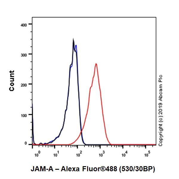 Flow Cytometry - Anti-Junctional Adhesion Molecule 1/JAM-A antibody [EPR23244-12] (AB269948)