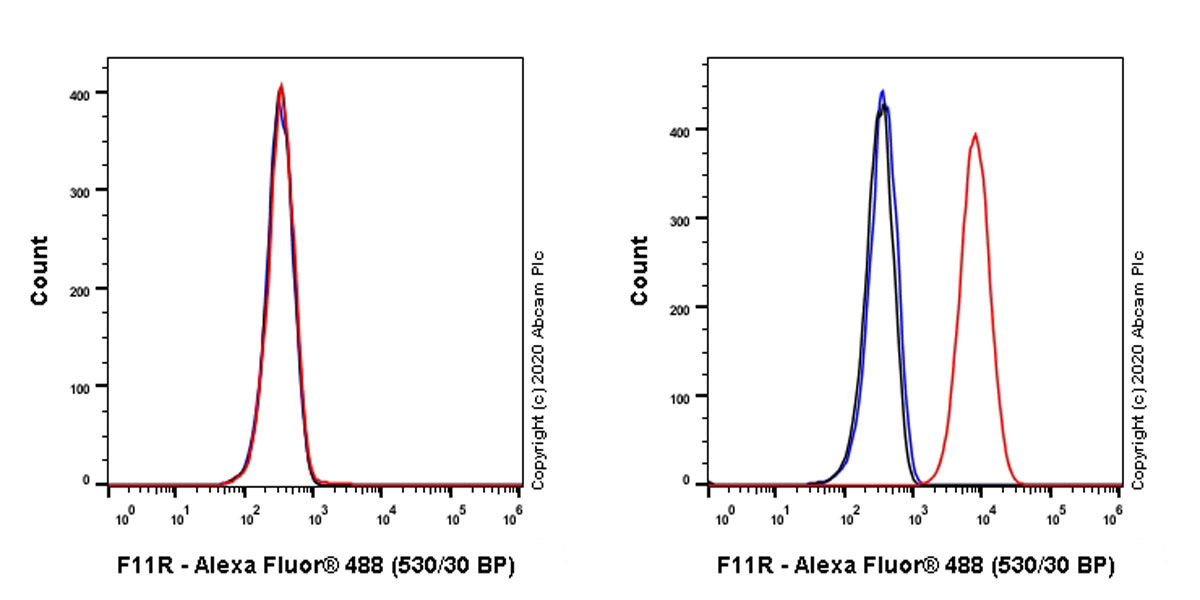 Flow Cytometry - Anti-Junctional Adhesion Molecule 1/JAM-A antibody [EPR23246-275] (AB270446)