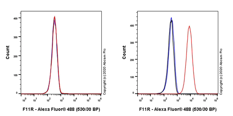 Flow Cytometry - Anti-Junctional Adhesion Molecule 1/JAM-A antibody [EPR23246-275] - BSA and Azide free (AB272172)