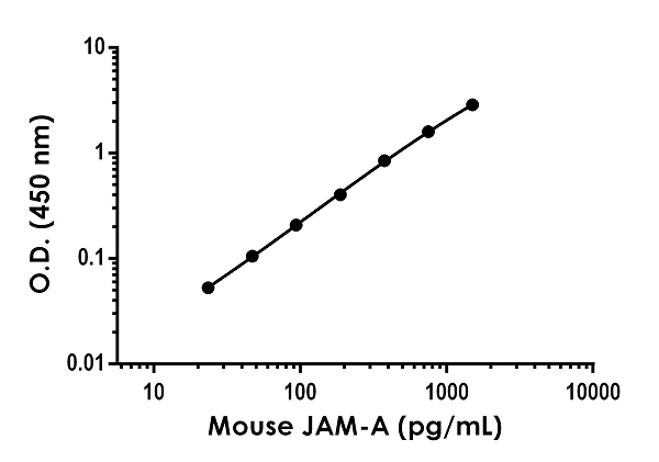 Sandwich ELISA - Anti-Junctional Adhesion Molecule 1/JAM-A antibody [EPR23246-33] - BSA and Azide free (Detector) (AB277254)