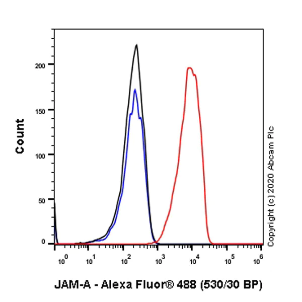 Flow Cytometry - Anti-Junctional Adhesion Molecule 1/JAM-A antibody [J10.4] - BSA and Azide free (AB267408)