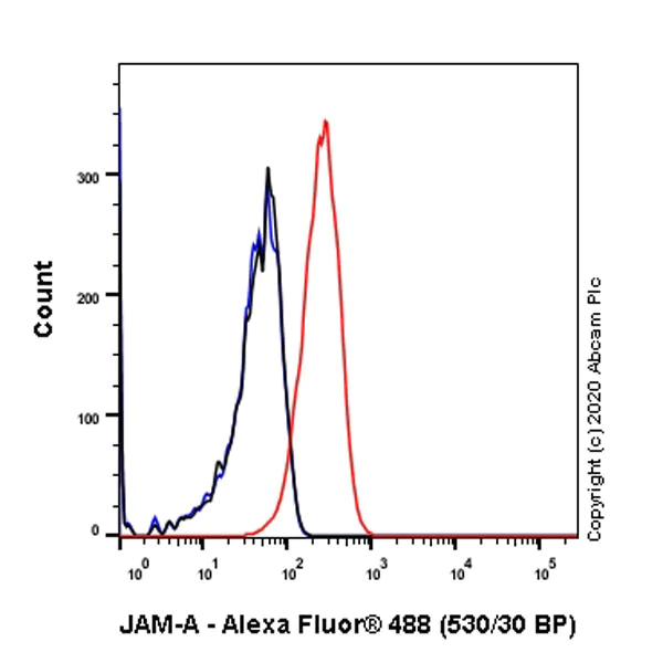 Flow Cytometry - Anti-Junctional Adhesion Molecule 1/JAM-A antibody [J10.4] - BSA and Azide free (AB267408)