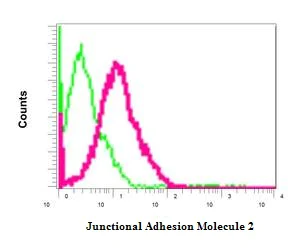 Flow Cytometry (Intracellular) - Anti-Junctional Adhesion Molecule 2/JAM-B antibody [EPR2489(2)] - BSA and Azide free (AB249274)
