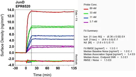 OI-RD Scanning - Anti-JunD antibody [EPR6520] (AB134067)