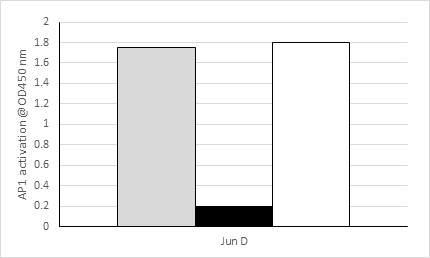 Functional Studies - JunD Transcription Factor Assay Kit (Colorimetric) (AB207198), expandable thumbnail