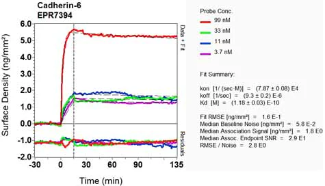 OI-RD Scanning - Anti-K Cadherin/CDH6 antibody [EPR7394] - BSA and Azide free (AB248582)