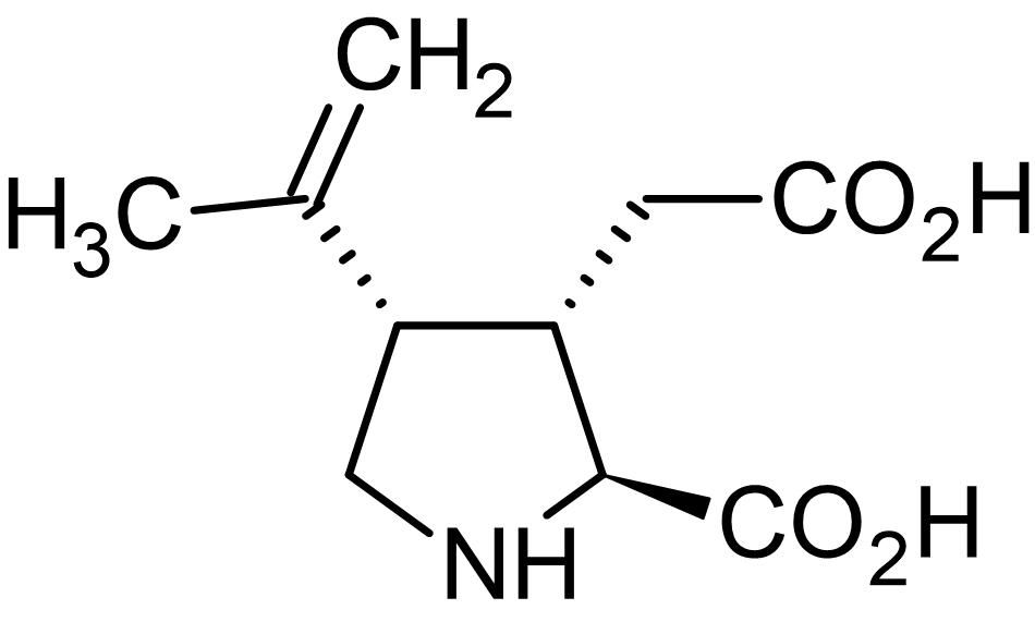Chemical Structure - Kainic acid (mM/ml), Prototypic kainate receptor agonist (AB144490), expandable thumbnail