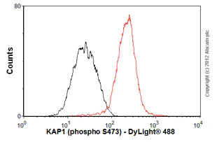 Flow Cytometry (Intracellular) - Anti-KAP1 antibody [EPR5249] (AB109545)