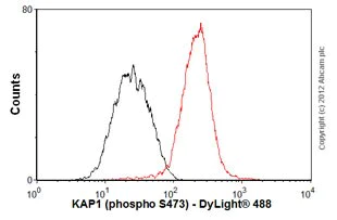 Flow Cytometry (Intracellular) - Anti-KAP1 antibody [EPR5249] - BSA and Azide free (AB247904)