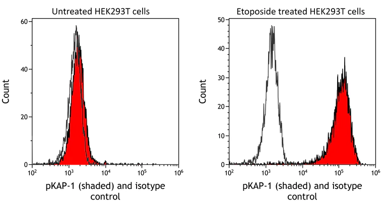 Flow Cytometry - Anti-KAP1 (phospho S824) antibody [BL-246-7B5] (AB243870)