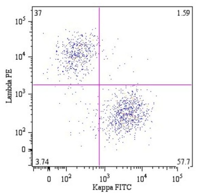 Flow Cytometry - Anti-Kappa light chain antibody [A8B5] (AB79558), expandable thumbnail