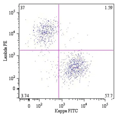 Flow Cytometry - Anti-Kappa light chain antibody [A8B5] (AB79558)