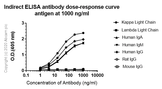 ELISA - Anti-Kappa light chain antibody [EPR5367-8] (AB124727)