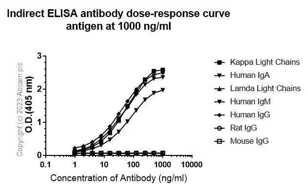 Indirect ELISA - Anti-Kappa light chain antibody [RM1057] - BSA and Azide free (AB313896)