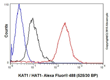 Flow Cytometry (Intracellular) - Anti-KAT1 / HAT1 antibody [EPR18775] - BSA and Azide free (AB251185)