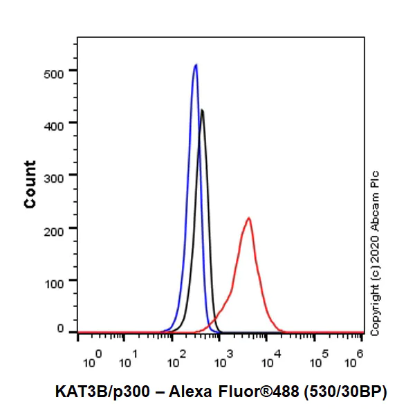 Flow Cytometry (Intracellular) - Anti-KAT3B / p300 antibody [EPR23495-268] - ChIP Grade - BSA and Azide free (AB275388)