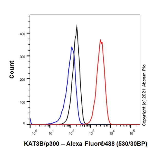 Flow Cytometry (Intracellular) - Anti-KAT3B / p300 antibody [EPR23753-55] (AB259330)