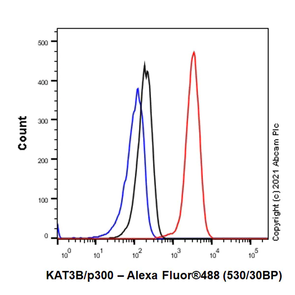 Flow Cytometry (Intracellular) - Anti-KAT3B / p300 antibody [EPR23753-55] (AB259330)