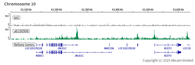 ChIC/CUT&RUN sequencing - Anti-KAT7 / Hbo1 / MYST2 antibody [EPR18473] - BSA and Azide free (ab240315), expandable thumbnail