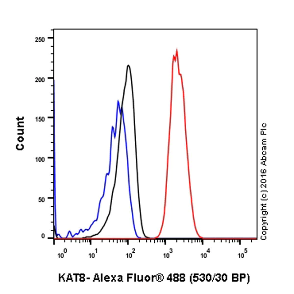 Flow Cytometry (Intracellular) - Anti-KAT8 / MYST1 / MOF antibody [EPR15803] - BSA and Azide free (AB240355)