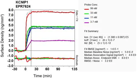 OI-RD Scanning - Anti-KCHIP1 antibody [EPR7624] (AB133753)