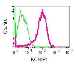 Flow Cytometry (Intracellular) - Anti-KCHIP1 antibody [EPR7624] - BSA and Azide free (AB248639)