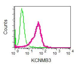 Flow Cytometry (Intracellular) - Anti-KCNMB3 antibody [EPR9543(B)] - BSA and Azide free (AB248782)