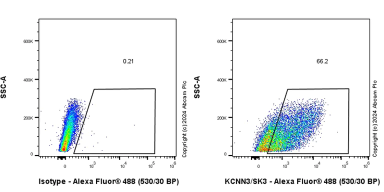 Flow Cytometry (Intracellular) - Anti-KCNN3/SK3 antibody [EPR28322-1] (AB317691)
