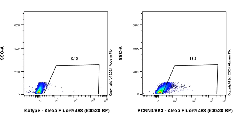 Flow Cytometry (Intracellular) - Anti-KCNN3/SK3 antibody [EPR28322-1] (AB317691)