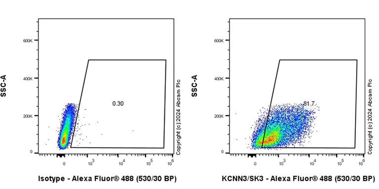 Flow Cytometry (Intracellular) - Anti-KCNN3/SK3 antibody [EPR28322-1] (AB317691)