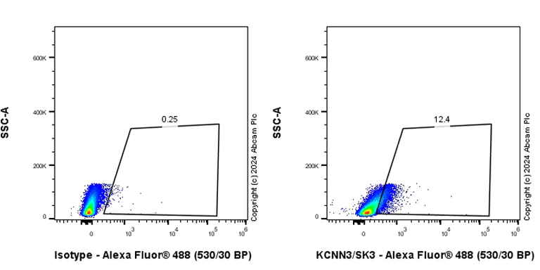 Flow Cytometry (Intracellular) - Anti-KCNN3/SK3 antibody [EPR28322-1] (AB317691)