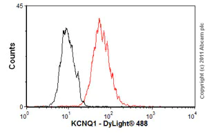 Flow Cytometry - Anti-KCNQ1 antibody [N37A/10] (AB84819)