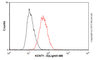 Flow Cytometry - Anti-KCNT1/SLACK antibody [N3/26] (AB94578), expandable thumbnail