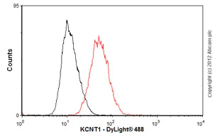Flow Cytometry - Anti-KCNT1/SLACK antibody [N3/26] (AB94578)