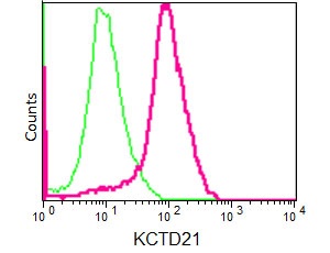 Flow Cytometry (Intracellular) - Anti-KCTD21 antibody [EPR12873(2)] - BSA and Azide free (AB232621)