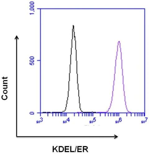Flow Cytometry - Anti-KDEL antibody (AB2898)
