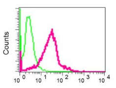 Flow Cytometry (Intracellular) - Anti-KDEL antibody [EPR12668] - BSA and Azide free (AB240190)