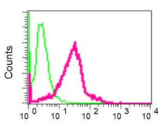 Flow Cytometry (Intracellular) - Anti-KDEL antibody [EPR12668] - BSA and Azide free (AB240190)
