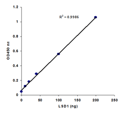 Functional Studies - KDM1/LSD1 Activity Quantification Assay Kit (Colorimetric) (AB113459)