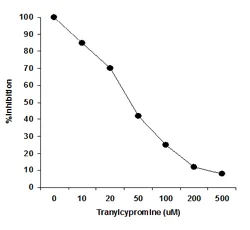 Functional Studies - KDM1/LSD1 Activity Quantification Assay Kit (Colorimetric) (AB113459)
